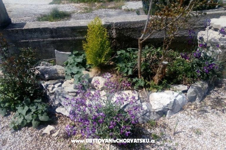 Appartamenti Ercegovic – foto 4
