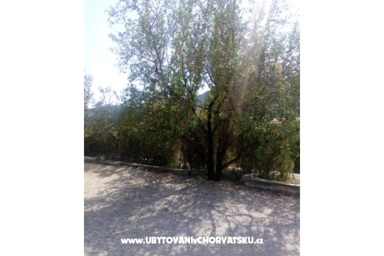Appartamenti Ercegovic – foto 5