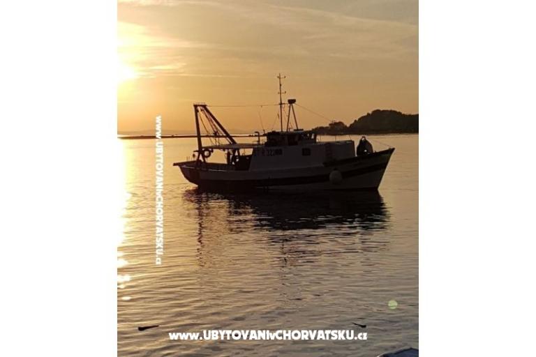 Appartamenti Krešimir  OD 30 EUR – foto 3