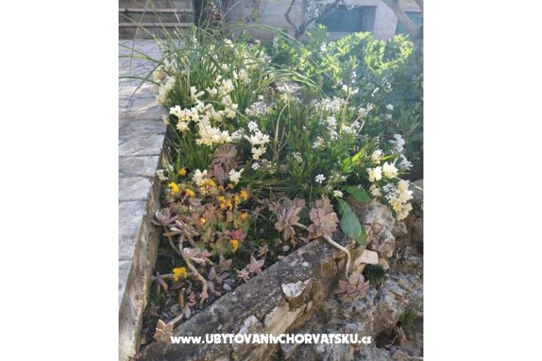 Appartamento Jase – foto 8