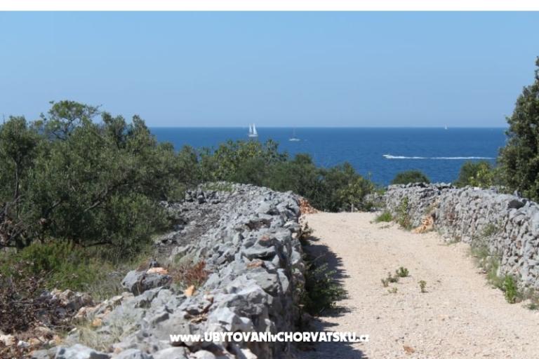 Appartamenti Blazevic – foto 16