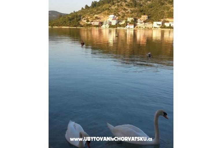 Appartamenti Captain`s house – foto 18