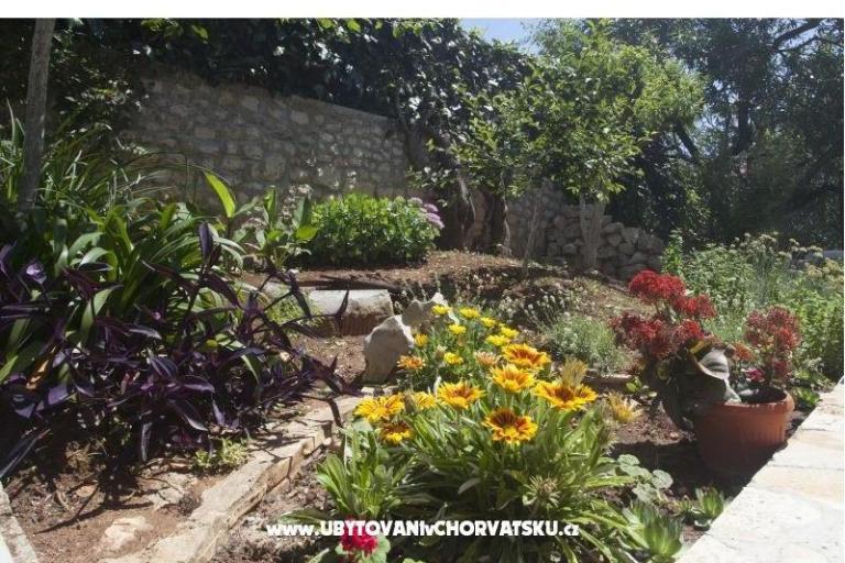 Appartamenti Miro – foto 3