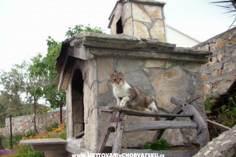 Appartamenti Rogoznica – foto 2