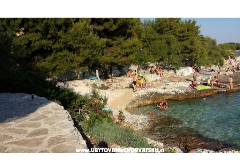 Appartamenti Ursula – foto 11