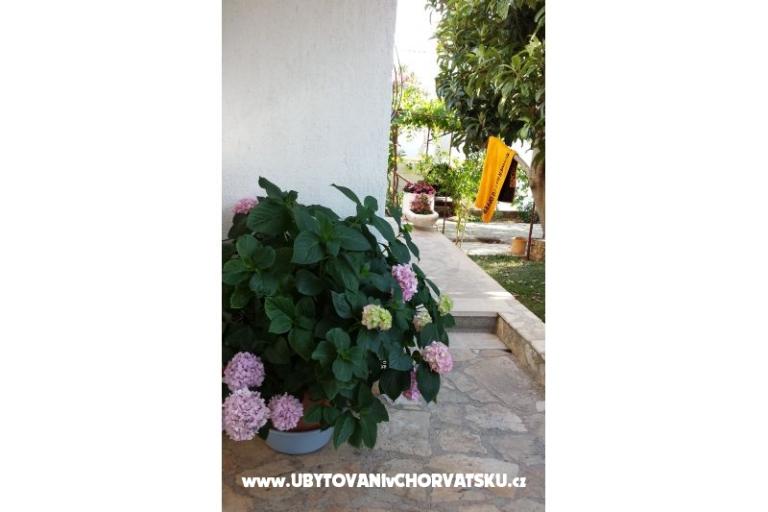Appartamenti Ursula – foto 14