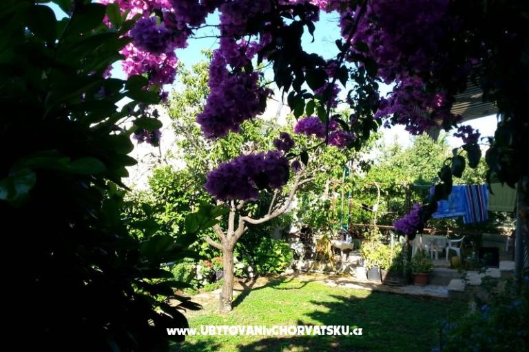 Appartamenti Ursula – foto 6
