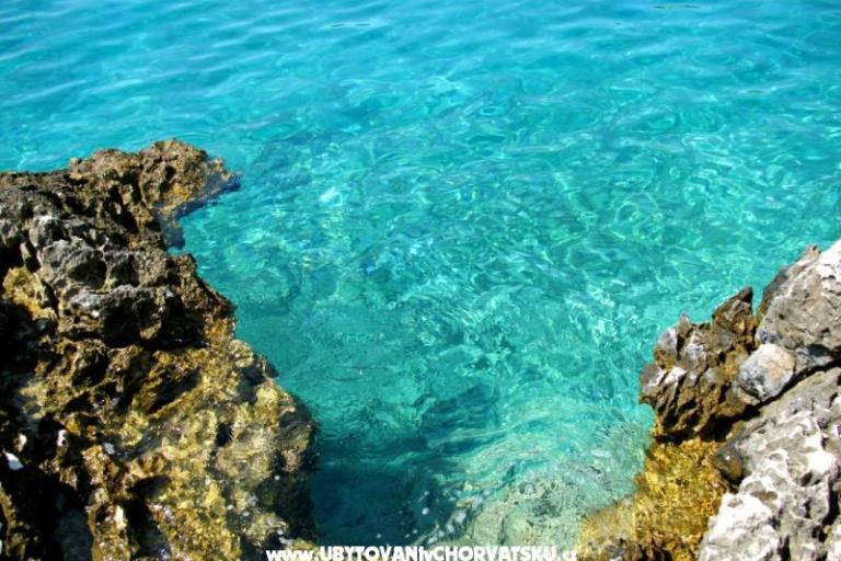 Breathtaking sea view – foto 8