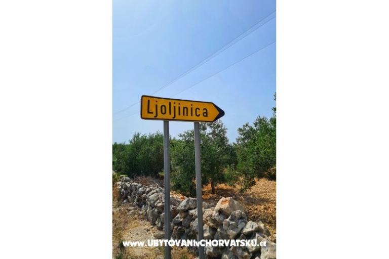 Holiday Appartamenti Lucic – foto 103