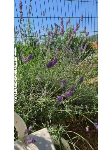 Holiday Appartamenti Lucic – foto 98