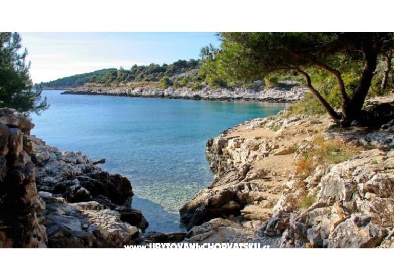 Appartamenti Iva – foto 13