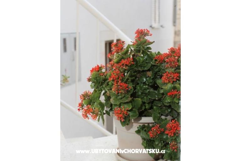 Casa Anita – foto 17