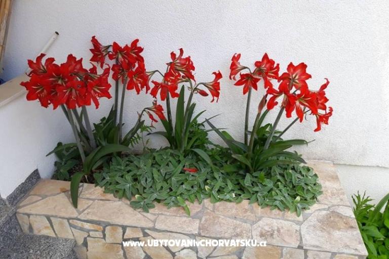 Appartamenti Mira Mark Ražanj Rogoznic – foto 13