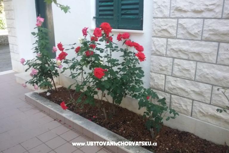 Santa Chiara Appartamenti – foto 12