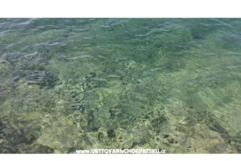 Vera Appartamento – foto 15