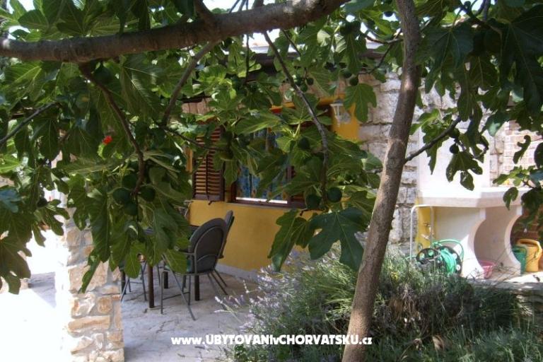 Appartamenti Morena – foto 6