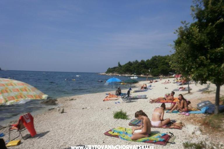 Appartamenti Ana – foto 16