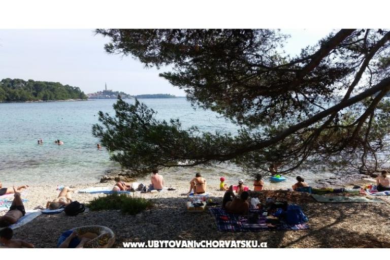 Appartamenti Ana – foto 18