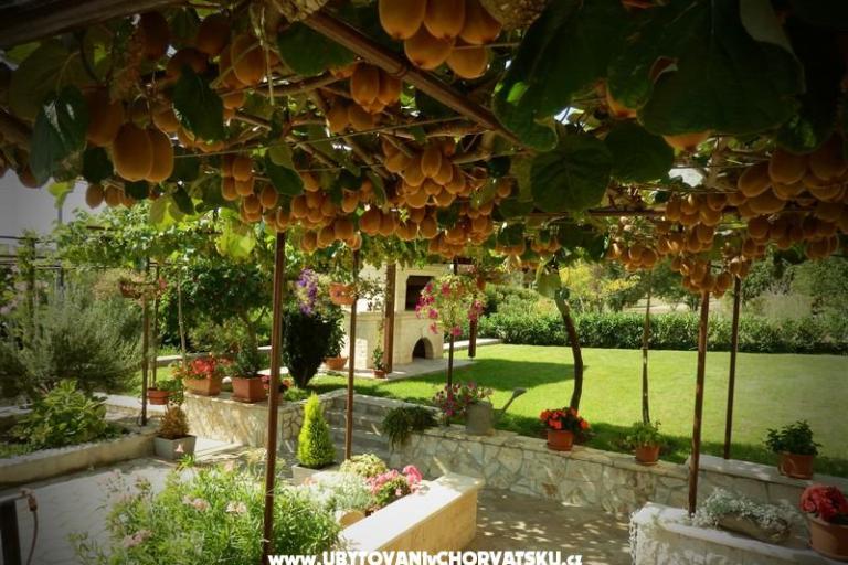 Appartamenti Fantazija – foto 12