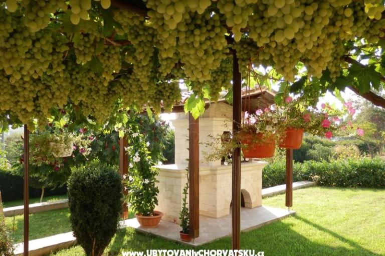 Appartamenti Fantazija – foto 4