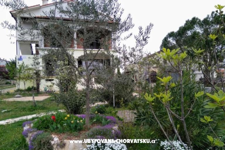 Appartamenti i Camere Markovic – foto 6