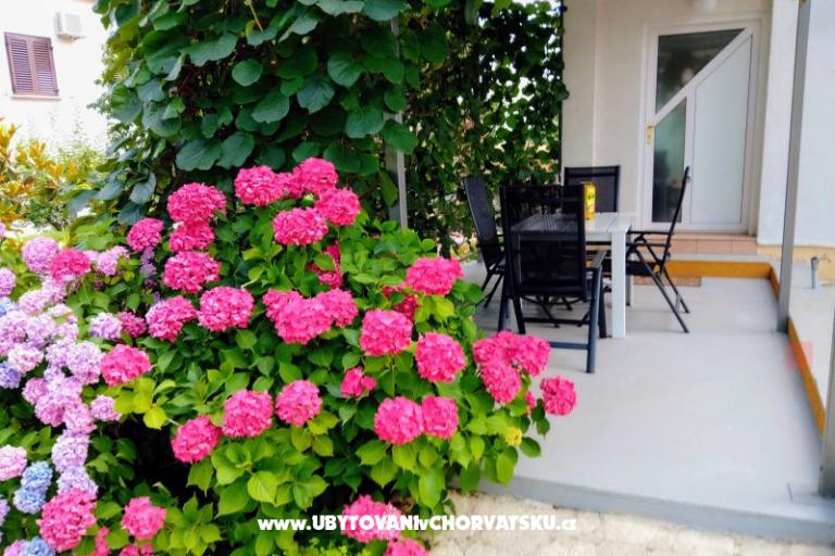 Appartamenti i Camere Markovic – foto 9
