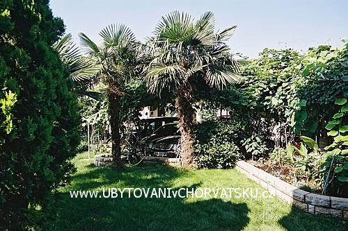 Appartamenti BOS-KO – foto 3
