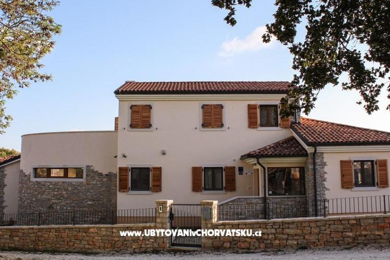 Arton Vila – foto 8