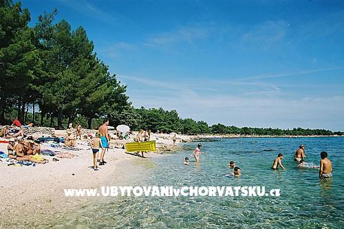 Family Casa Ivancevic – foto 5