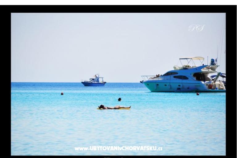 Appartamenti  Zaglav Dugi otok  – foto 12