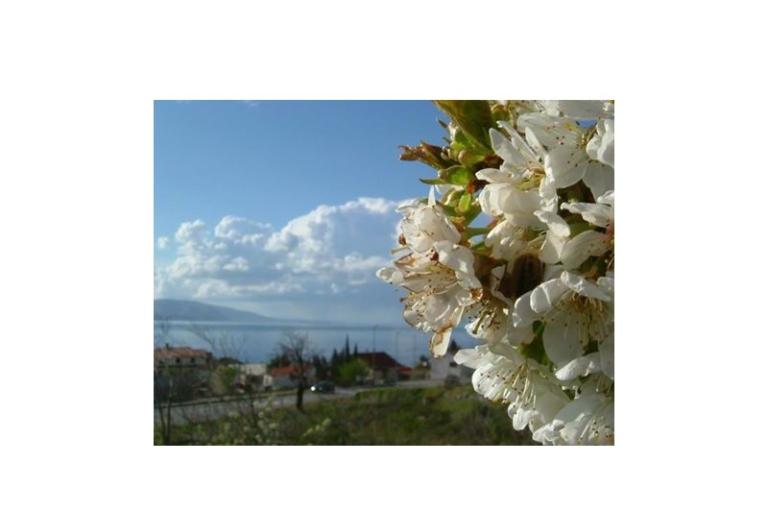 Appartamenti Klara – foto 8