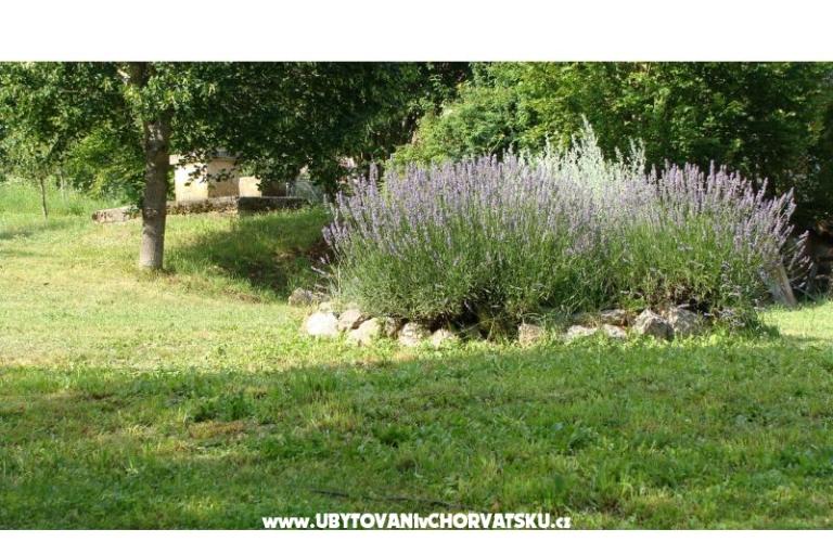 Case vacanza Biserka – foto 10