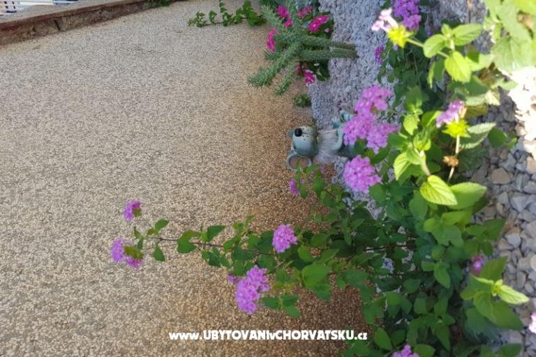 Appartamento Mikelin – foto 5