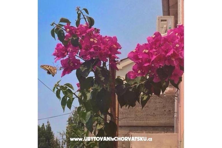 Appartamento Silvana – foto 3