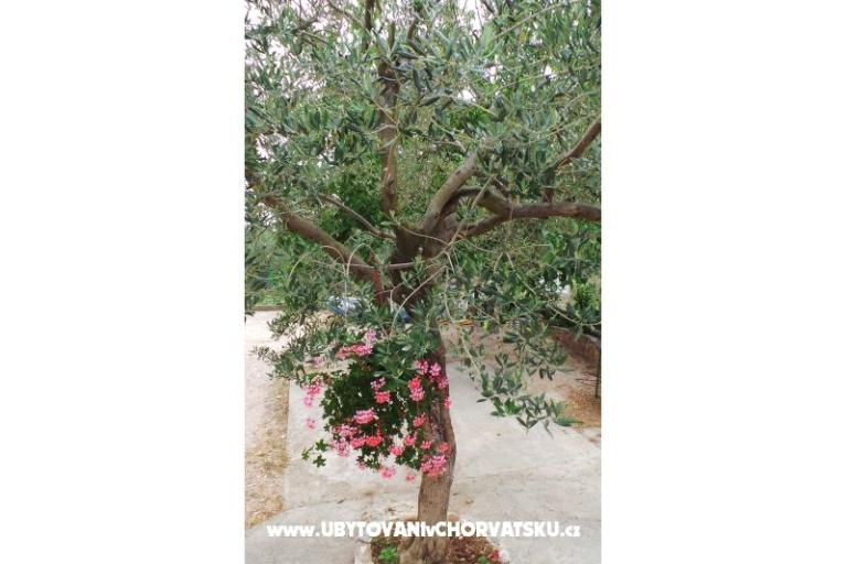 Appartamento Tomić – foto 10