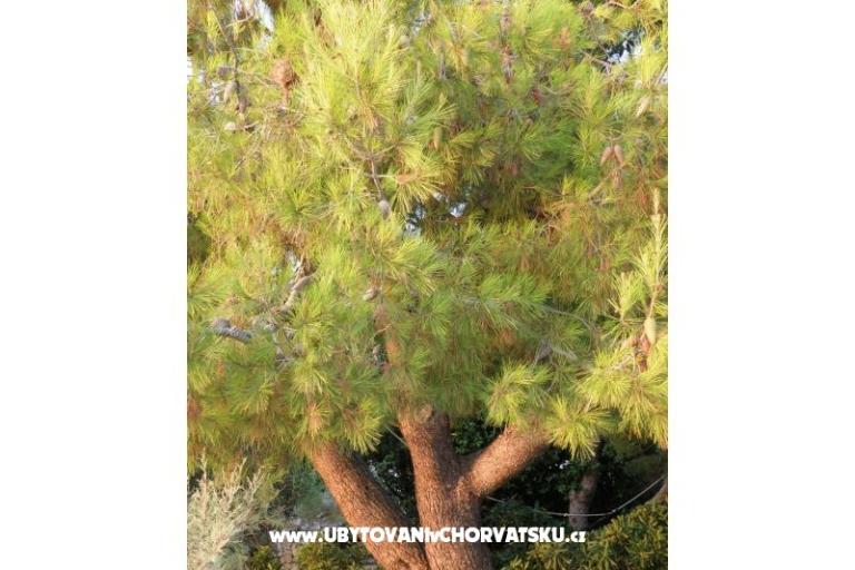 Appartamenti Adrijana – foto 11