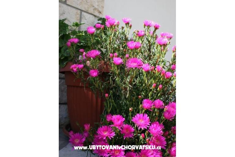 Appartamenti Gašperov – foto 7