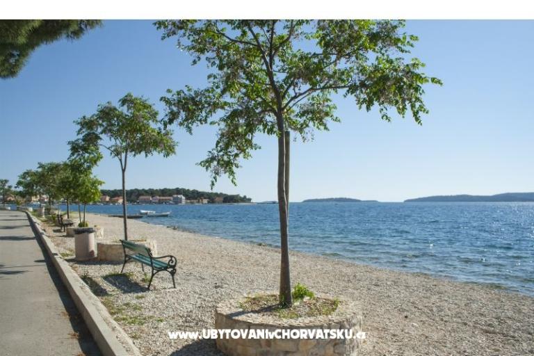 Appartamenti Soha – foto 3