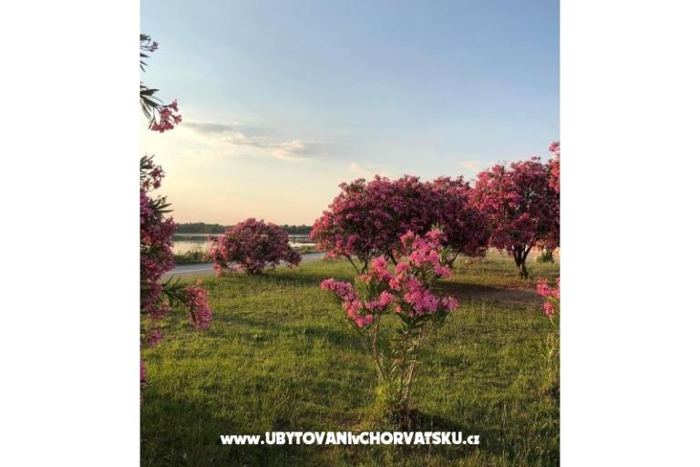 Appartamenti Tin&amp;Tin – foto 15