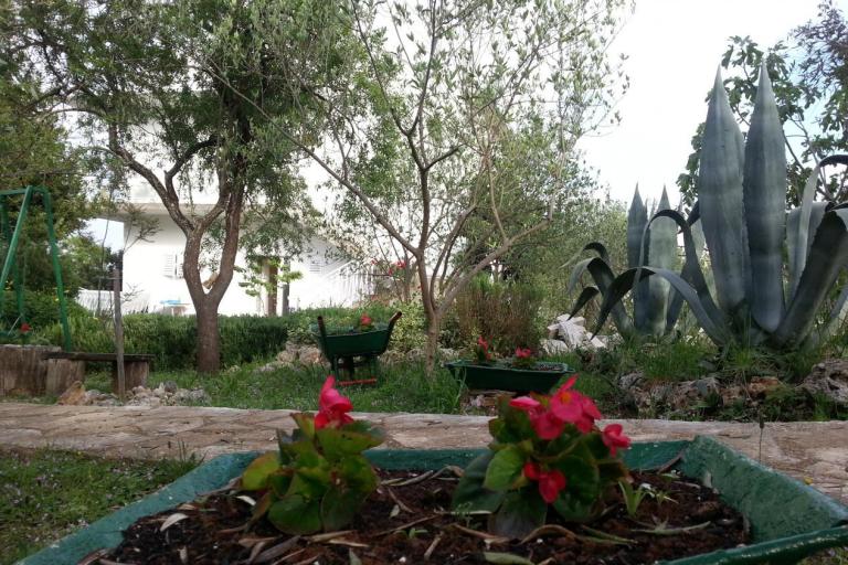 Appartamenti Vlado – foto 7