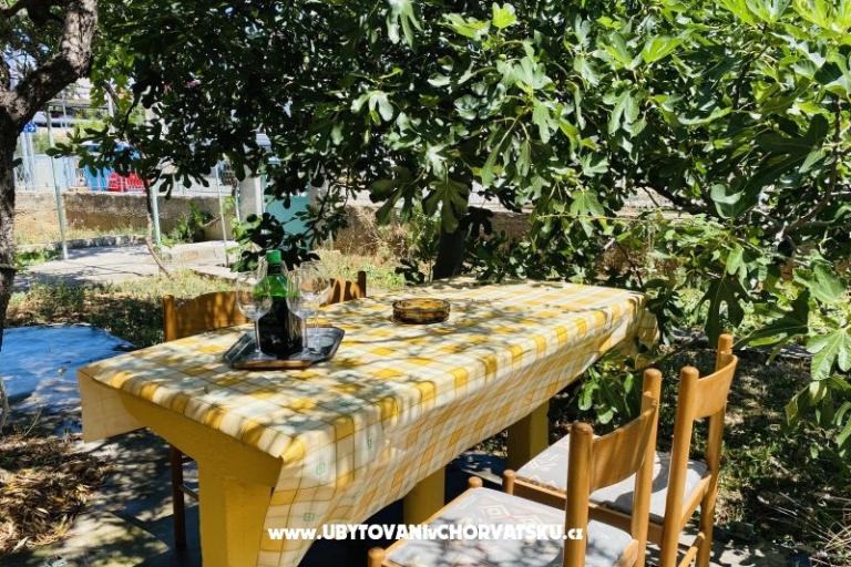 Beach Casa – foto 7