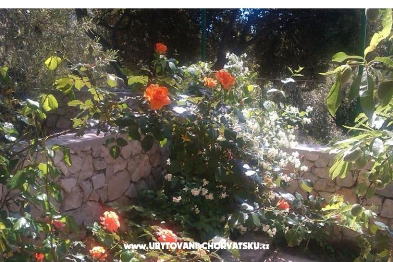 Lavanda Appartamento – foto 17