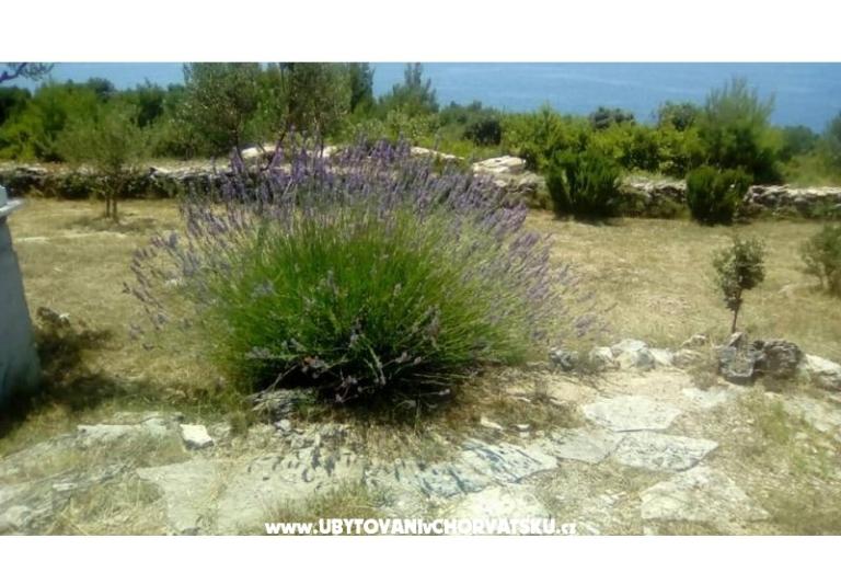 Appartamenti Villa Mare – foto 9