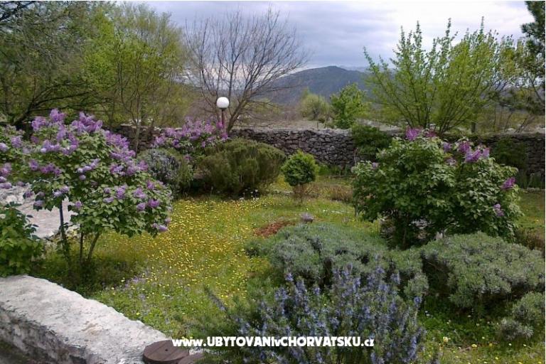 Case vacanza Villa Ivo – foto 10
