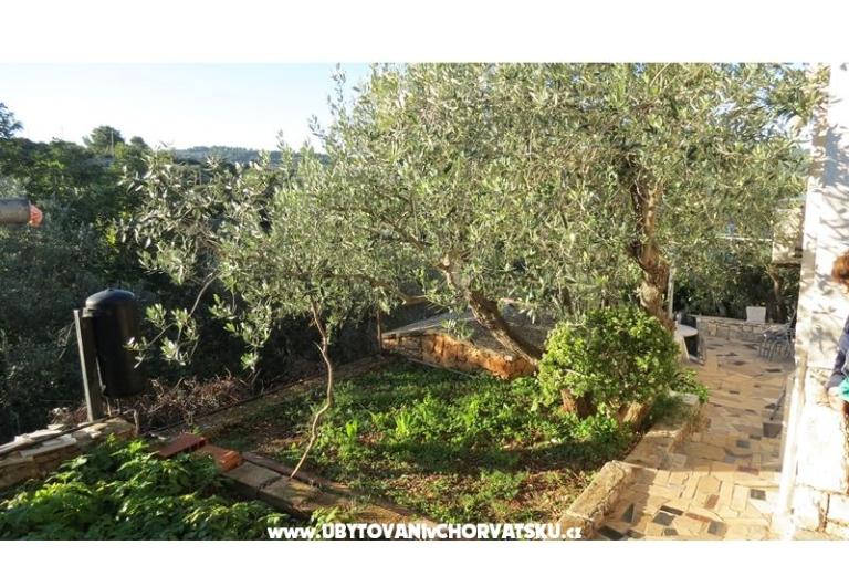 Appartamenti Janja – foto 6