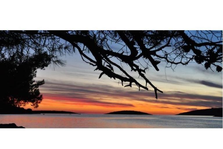 Appartamenti Oliva - Otok Šolta – foto 11