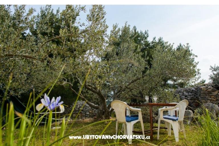 Case vacanza Villa Ante – foto 8
