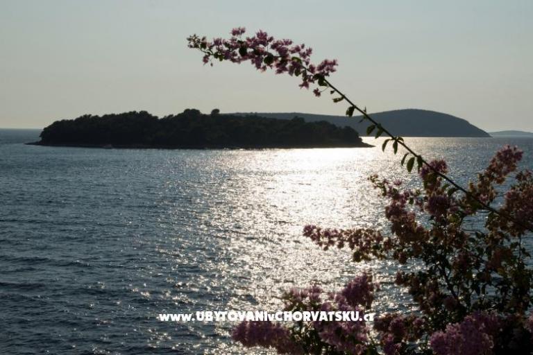 Villa Nell – foto 7
