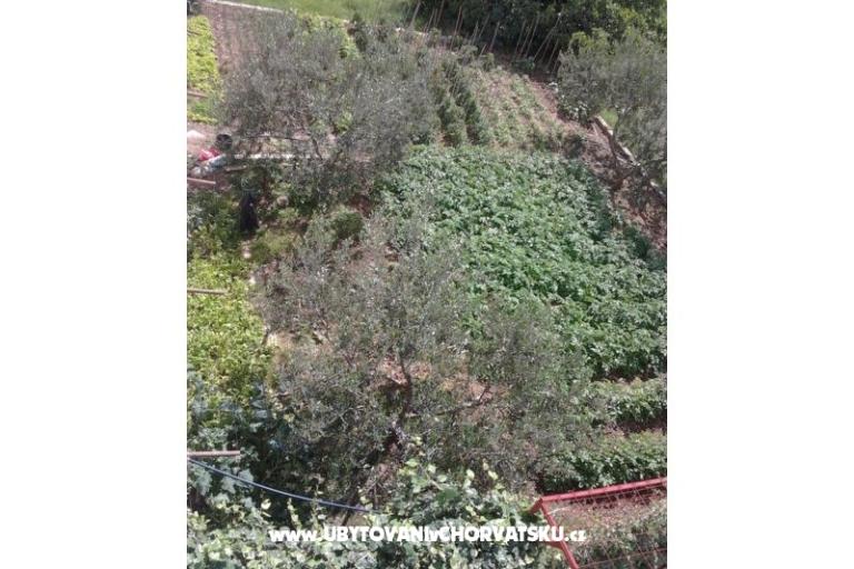 ADRIATIQ Appartamenti – foto 16