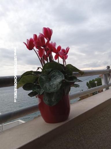 Appartamento Jagoda – foto 23